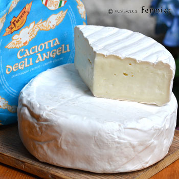 【今月のチーズ】カチョッタ デリ アンジェリ CACIOTTA DEGLI ANGELI