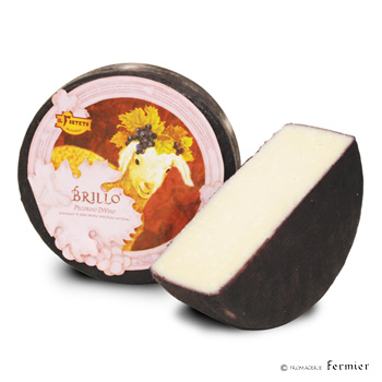 【今月のチーズ】ブリッロ BRILLO