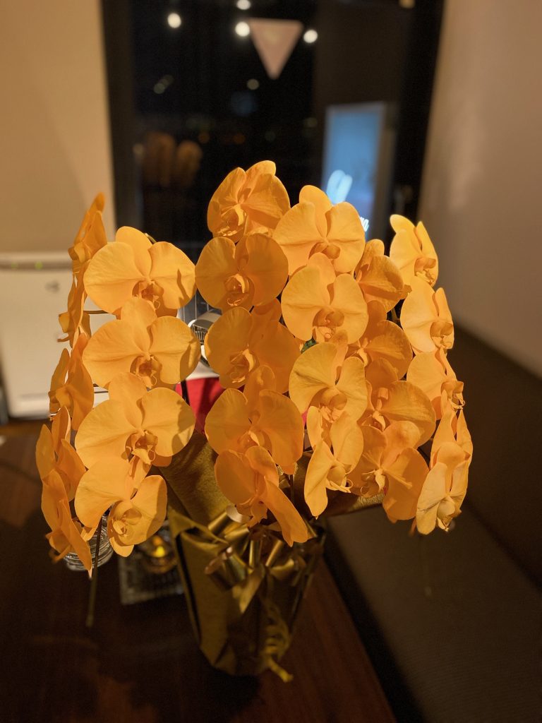 オレンジ色の胡蝶蘭